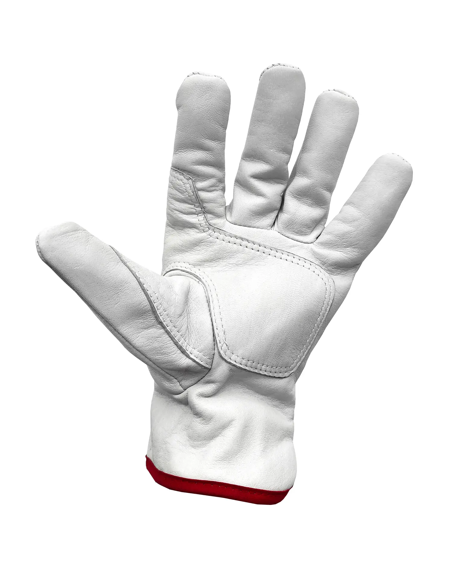 gloves 3319